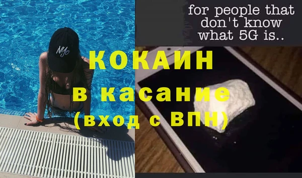 гашик Семилуки