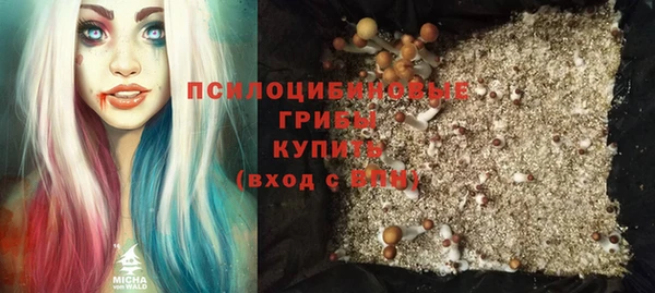 герыч Алексин