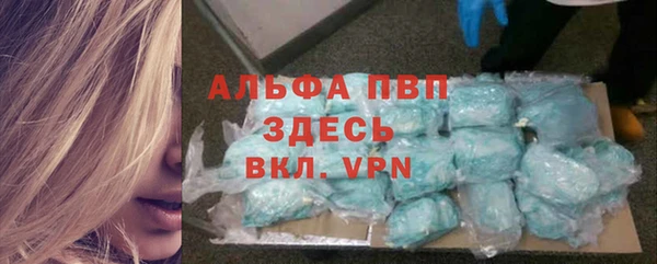гашик Семилуки