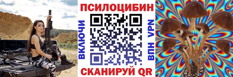 Псилоцибиновые грибы Psilocybe Болгар